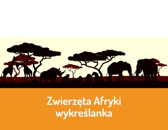 Zwierzęta Afryki