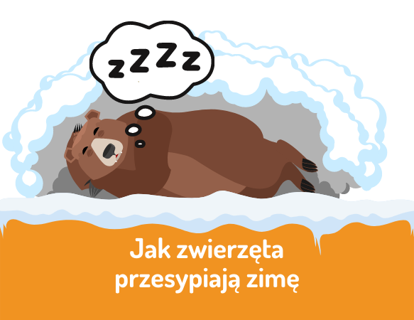 Jak zwierzęta przesypiają zimę