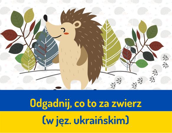 Odgadnij, co to za zwierz - wersja ukraińska