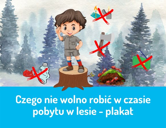 Czego nie wolno robić w czasie pobytu w lesie