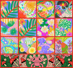 Szkoła bioróżnorodności