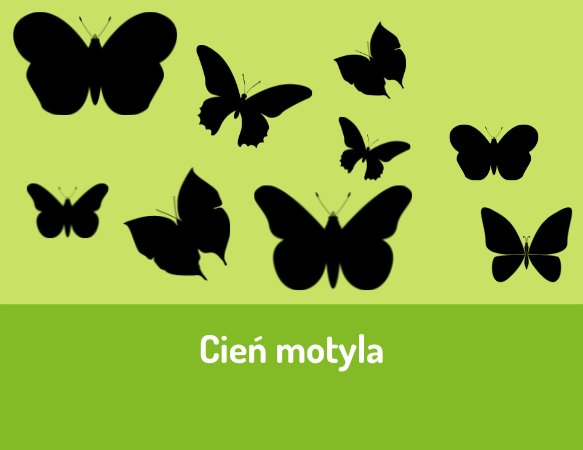 Cień motyla
