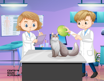 „Nauka dla Ciebie” – zgłoś drużynę!