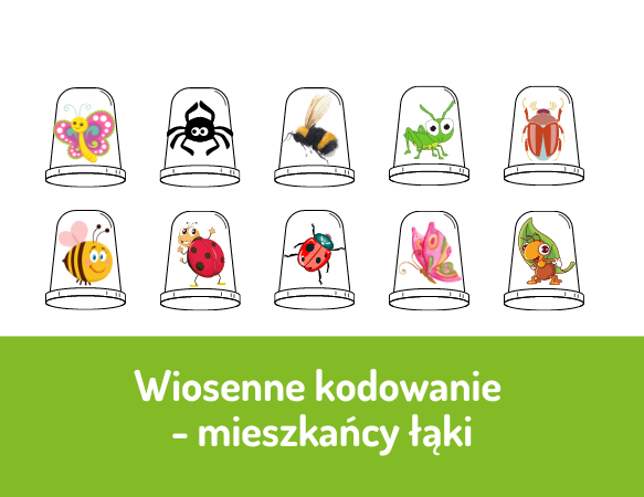 Wiosenne kodowanie - mieszkańcy łąki