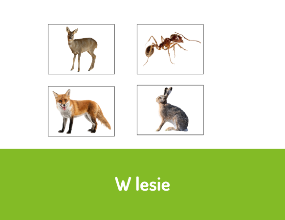 W lesie