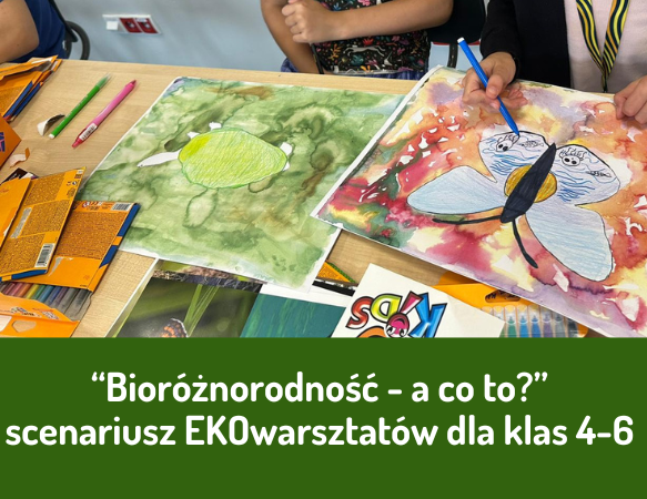 EKOwarsztaty także dla starszych klas!