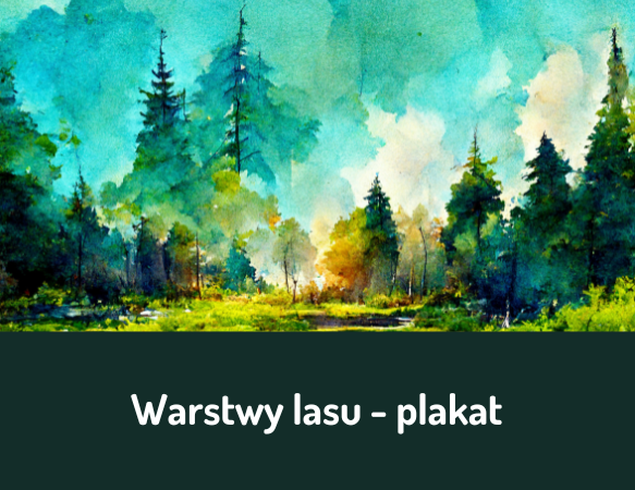 Warstwy lasu