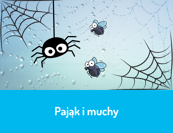 Pająk i muchy