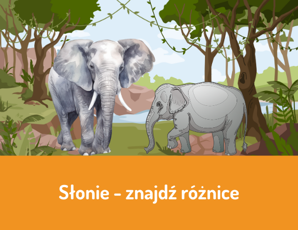 Słonie – znajdź różnice
