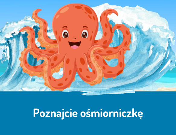 Poznajcie ośmiorniczkę