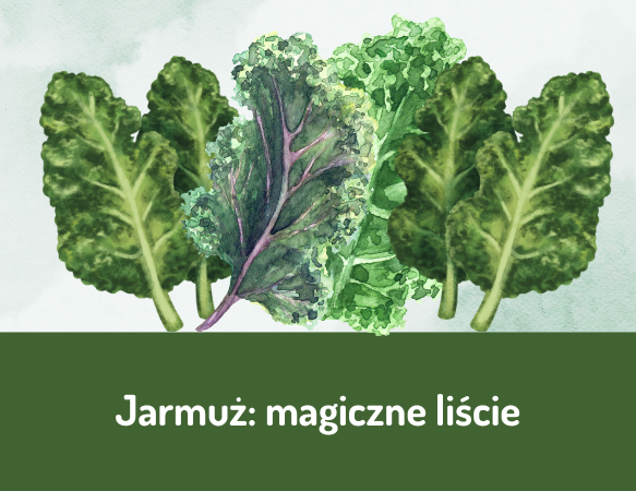 Jarmuż: magiczne liście