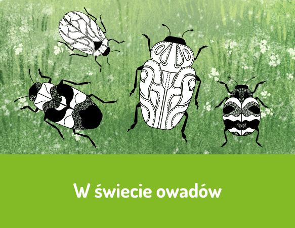 W świecie owadów
