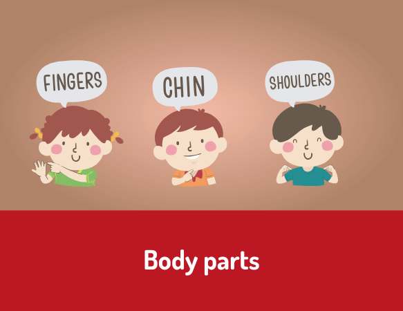 Body parts