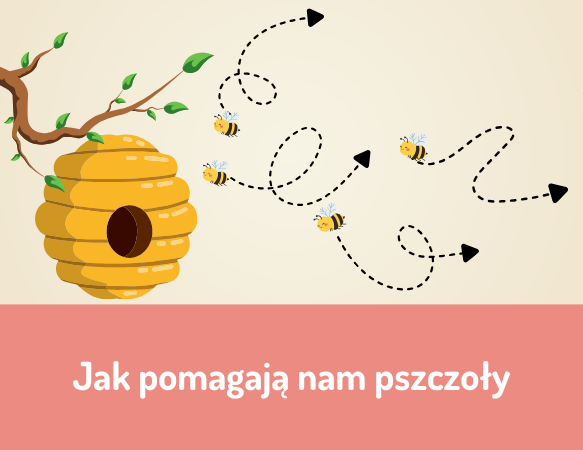 Jak pomagają nam pszczoły