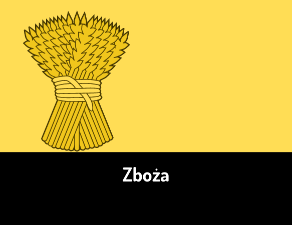 Zboża – kolorowanie według wzoru