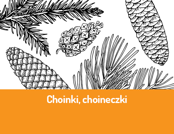 Choinki, choineczki