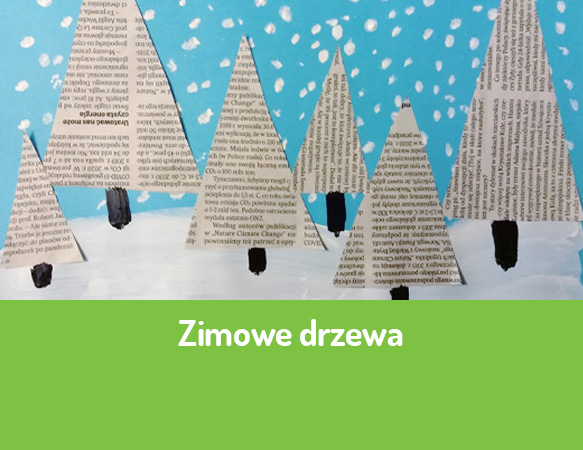 Zimowe drzewa