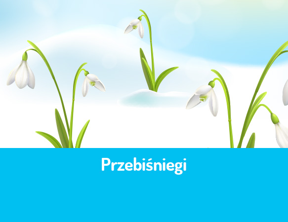 Przebiśniegi