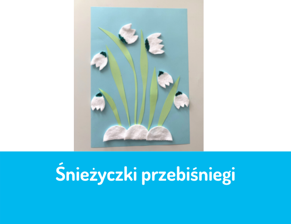 Śnieżyczki przebiśniegi