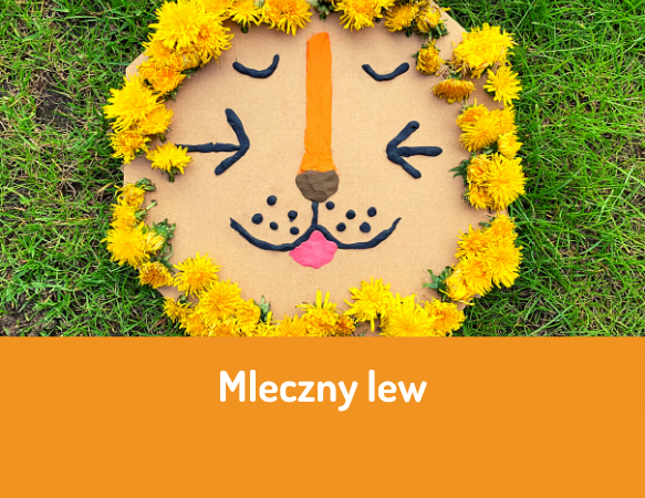 Mleczny lew