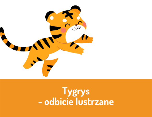 Tygrys – odbicie lustrzane