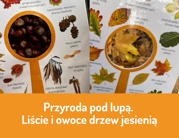 Przyroda pod lupą. Liście i owoce drzew jesienią