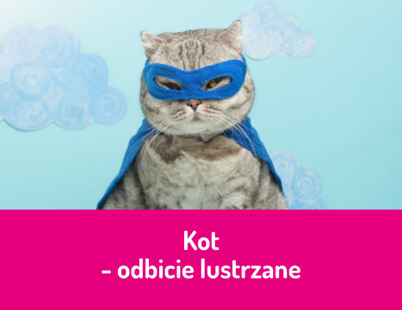 Kot – odbicie lustrzane