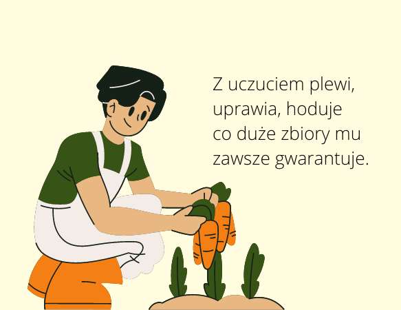 Leporello – kreatywna książka w formie harmonijki