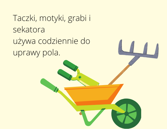 Leporello – kreatywna książka w formie harmonijki