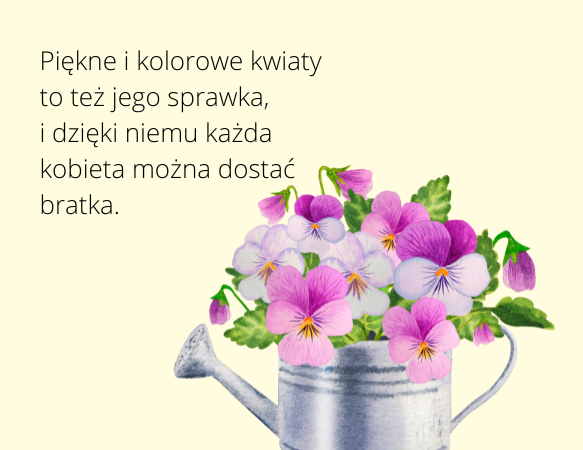 Leporello – kreatywna książka w formie harmonijki