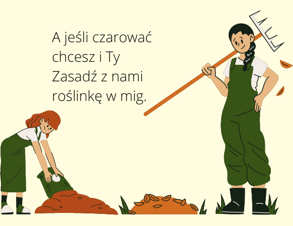 Leporello – kreatywna książka w formie harmonijki