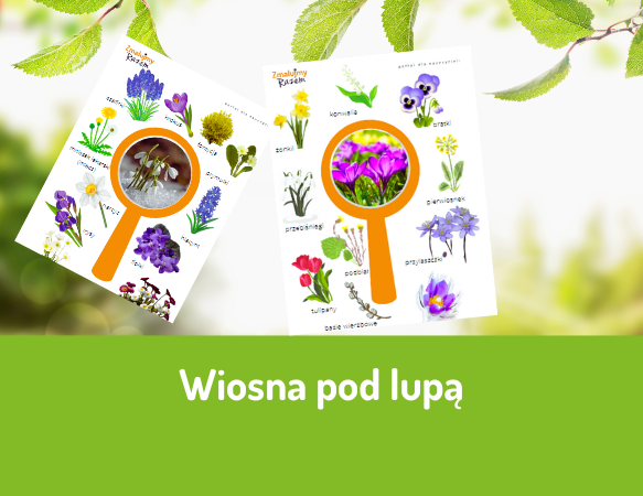 Wiosna pod lupą