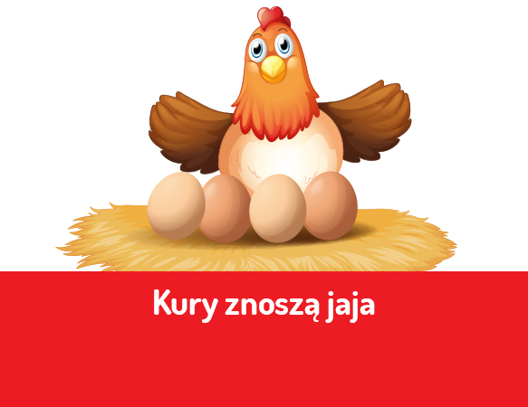 Kury znoszą jaja