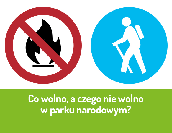 Co wolno, a czego nie wolno w parku narodowym?